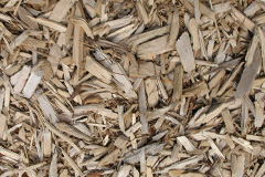 biomass boilers Pityme